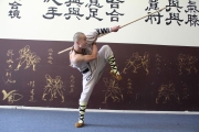 Yanguang-Shifu-5
